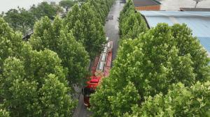 企業(yè)風(fēng)貌